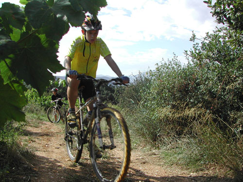 Randonne des Vendanges - 77.jpg - biking66.com