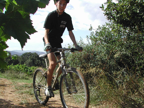 Randonne des Vendanges - 78.jpg - biking66.com