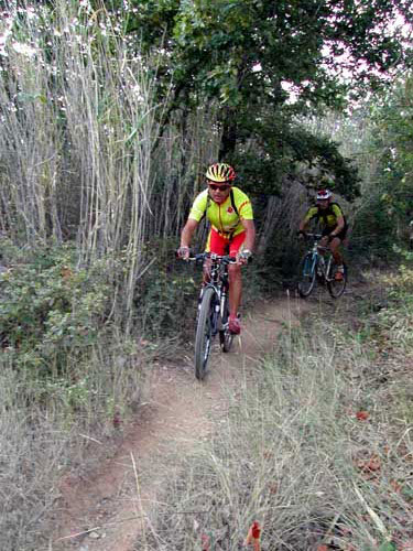 Rando des Vendanges - DSCN1978.jpg - biking66.com