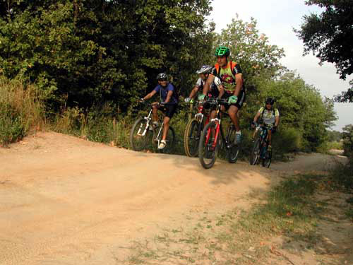 Rando des Vendanges - DSCN2003.jpg - biking66.com