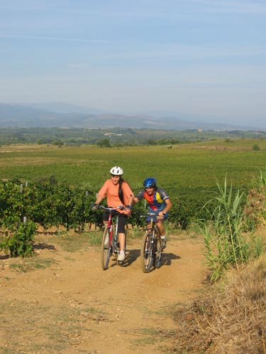 Rando des vendanges - Photo-066.jpg - biking66.com