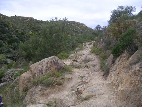 La Garoutade - Enduro - DSCN1779.jpg - biking66.com