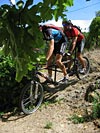 Rando-guide des Cluses - IMG_4036.jpg - biking66.com