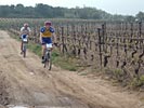 Trophée Sant Joan - DSCF2736.jpg - biking66.com