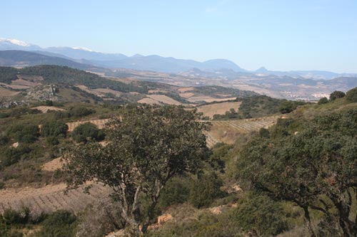Rando#2 - Estagel - IMG_4602.jpg - biking66.com