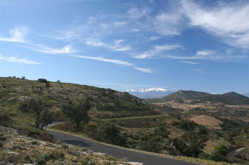Rando#2 - Estagel - IMG_4604.jpg - biking66.com
