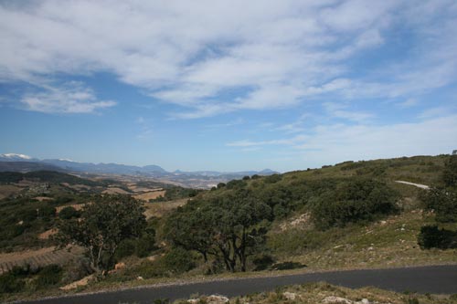 Rando#2 - Estagel - IMG_4606.jpg - biking66.com