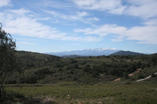 Rando#2 - Estagel - IMG_4643.jpg - biking66.com