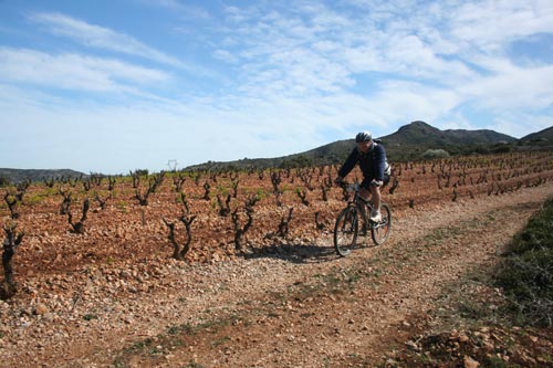 Rando#2 - Estagel - IMG_4747.jpg - biking66.com