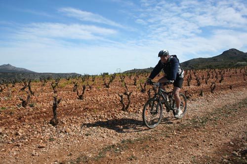 Rando#2 - Estagel - IMG_4748.jpg - biking66.com