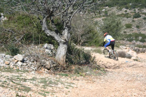 Rando#2 - Estagel - IMG_4754.jpg - biking66.com