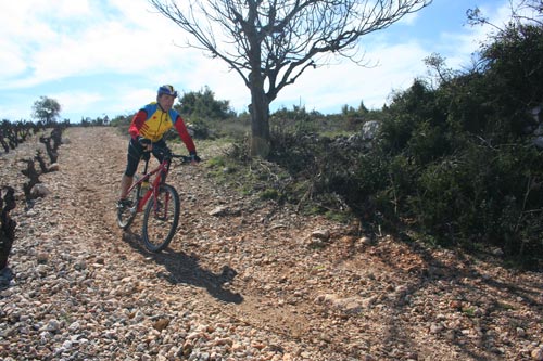 Rando#2 - Estagel - IMG_4759.jpg - biking66.com