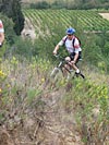 Rando des Vendanges - 10 ans - IMG_0279.jpg - biking66.com