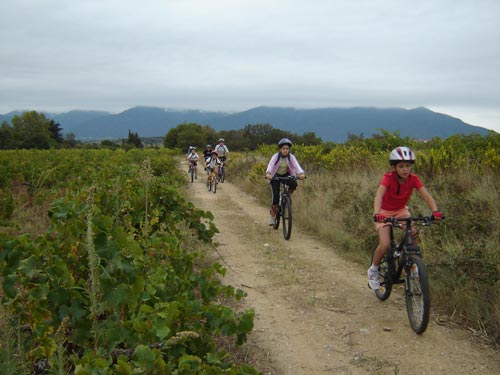 Rando des Vendanges - 10 ans - DSC00228.jpg - biking66.com