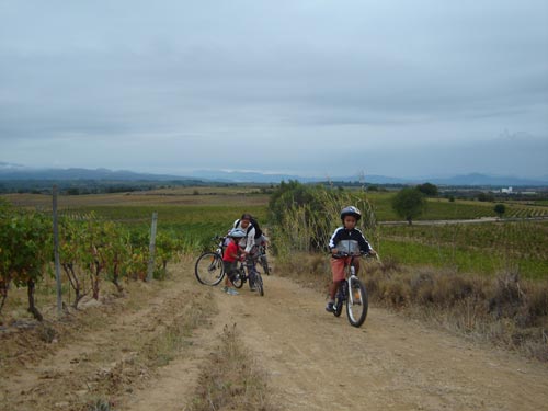 Rando des Vendanges - 10 ans - DSC00244.jpg - biking66.com