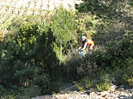 Opoul Perillos - IMG_0291.jpg - biking66.com