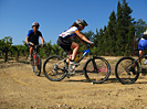 Rando des Vendanges - IMG_3634.jpg - biking66.com