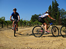 Rando des Vendanges - IMG_3635.jpg - biking66.com