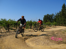 Rando des Vendanges - IMG_3648.jpg - biking66.com