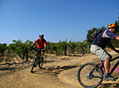 Rando des Vendanges - IMG_3651.jpg - biking66.com