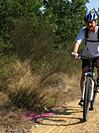 Rando des Vendanges - IMG_3697.jpg - biking66.com