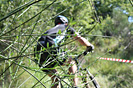 Trophée Sant Joan 2009 - Régional UFOLEP - IMG_8482.jpg - biking66.com