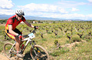 Trophée Sant Joan 2009 - Régional UFOLEP - IMG_8557.jpg - biking66.com