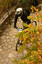 Enduro VTT de France - IMG_0279.jpg - biking66.com