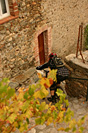 Enduro VTT de France - IMG_0293.jpg - biking66.com