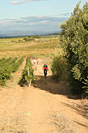 Rando des vendanges - IMG_1041.jpg - biking66.com