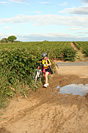 Rando des vendanges - IMG_1068.jpg - biking66.com