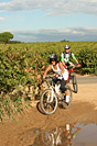 Rando des vendanges - IMG_1083.jpg - biking66.com