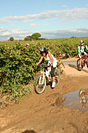 Rando des vendanges - IMG_1084.jpg - biking66.com