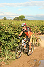 Rando des vendanges - IMG_1086.jpg - biking66.com