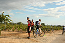 Rando des vendanges - IMG_1092.jpg - biking66.com