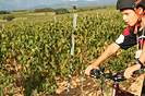 Rando des vendanges - IMG_1099.jpg - biking66.com