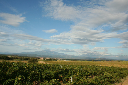 Rando des vendanges - IMG_1039.jpg - biking66.com