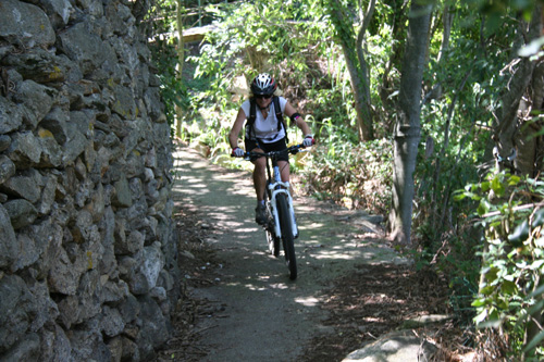 Rando VTT Villelongue dels Monts - IMG_3800.jpg - biking66.com