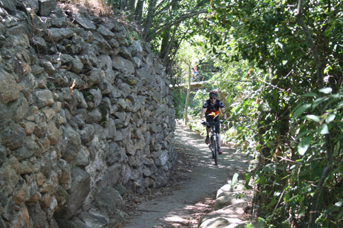 Rando VTT Villelongue dels Monts - IMG_3815.jpg - biking66.com