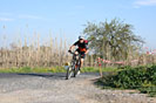 Trophe Sant Joan - IMG_3365.jpg - biking66.com
