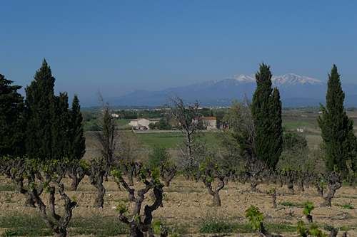 Trophe Sant Joan - P1020131.jpg - biking66.com