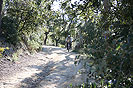 Rando VTT Villelongue dels Monts  - IMG_5709.jpg - biking66.com