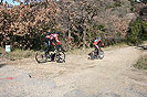 Rando VTT Villelongue dels Monts  - IMG_5729.jpg - biking66.com
