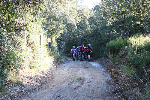 Rando VTT Villelongue dels Monts  - IMG_5638.jpg - biking66.com