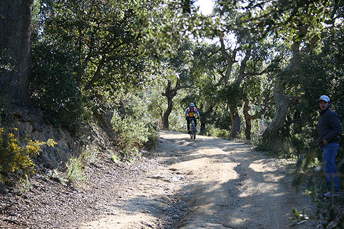 Rando VTT Villelongue dels Monts  - IMG_5678.jpg - biking66.com