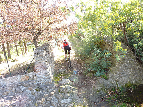 Rando VTT Villelongue dels Monts  - P1010346.jpg - biking66.com