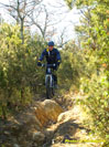 Rando VTT de Villelongue dels Monts - R0010069.jpg - biking66.com