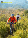 Rando VTT de Villelongue dels Monts - R0010083.jpg - biking66.com
