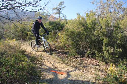 Rando VTT de Villelongue dels Monts - IMG_1974.jpg - biking66.com