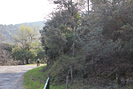 Rando VTT de Villelongue dels Monts - IMG_1833.jpg - biking66.com